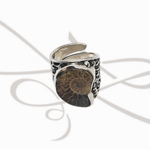 ANILLO PLATA LISO AMONITA